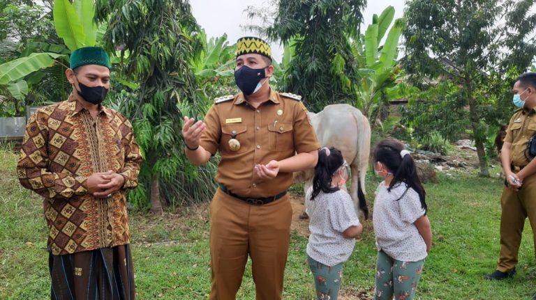 Bupati Pesawaran Serahkan Sapi di Islamic, Minta Panitia Kedepankan Prokes