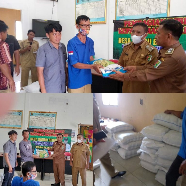Tingkatkan Kesejahteraan Masyarakat, Desa Hanau Berak Bagikan 42 Karung Bibit Padi Unggul
