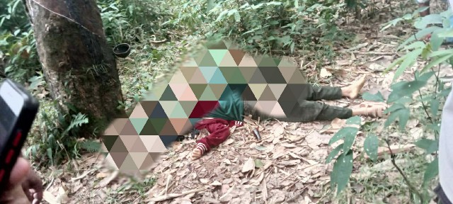 Gegerrr, Warga Nekat Temukan Gadis Bersimbah Darah di Kebun Karet