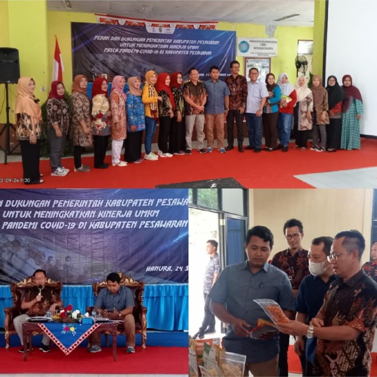 Pemkab Pesawaran Lakukan Penelitian UMKM Go Internasional