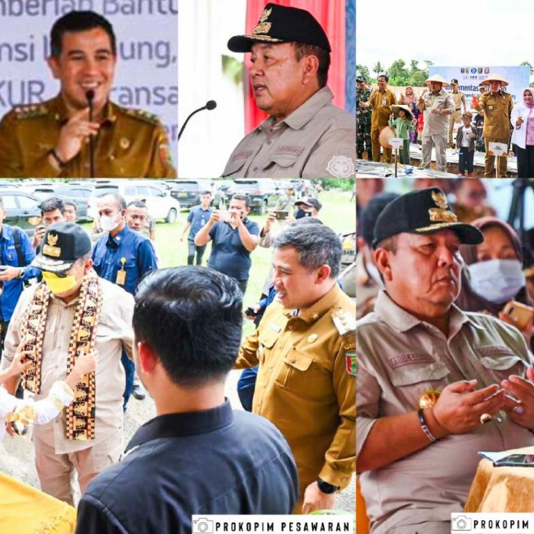 Gubernur Lampung Tetapkan Pesawaran Tuan Rumah Tanam Cabai Percontohan