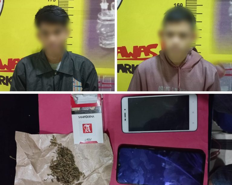 Polisi Tangkap Dua Pengedar Ganja Asal Tanggamus, Sita 4,75 Gram