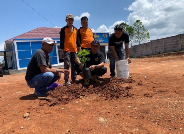 Peduli Isu Global Warming, PWI Pesawaran Tanam Ratusan Bibit