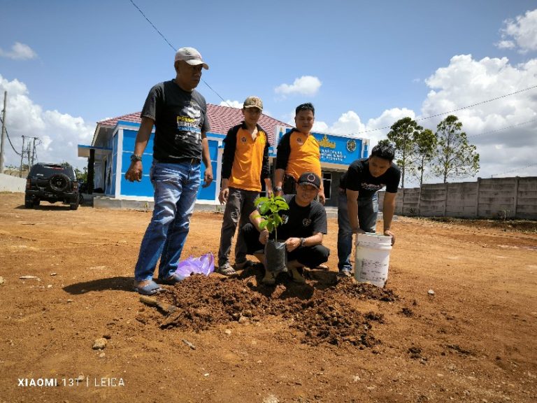 Peduli Lingkungan, PWI Pesawaran Tanam Ratusan Bibit Pohon