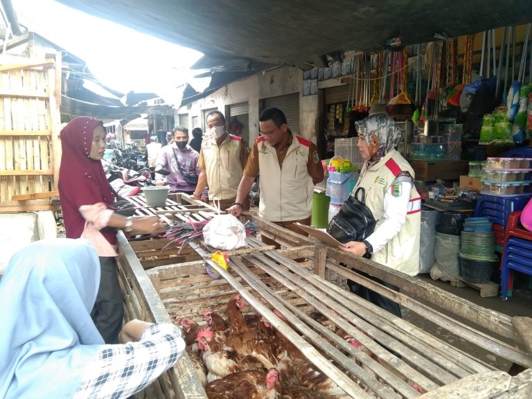 Jelang Hari Raya Idul Fitri 1445 H, Beberapa Bahan Pokok Mengalami kenaikan dan Penurunan