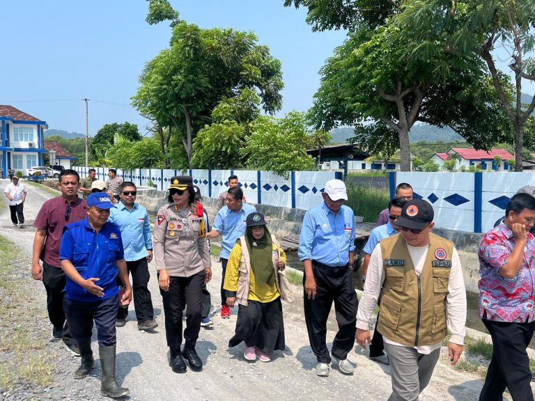 Kemunculan Buaya di Permukaan Laut Teluk Pandan, Kapolres Pesawaran Lakukan Koordinasi 