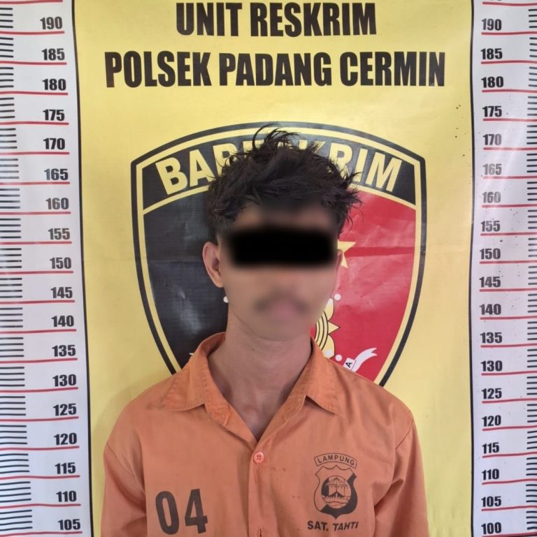 Polsek Padang Cermin Ringkus Pelaku Curat