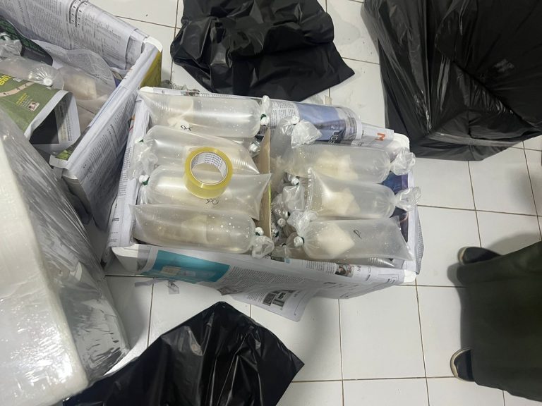 Polda Lampung Berhasil Gagalkan Penyelundupan 149.400 Benih Lobster