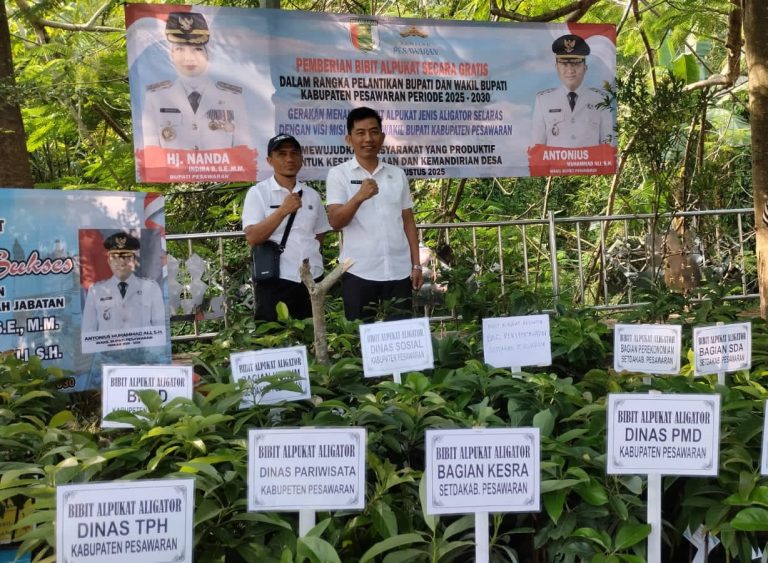 Pemkab Pesawaran Bagikan 700 Bibit Alpukat Aligator Gratis untuk Masyarakat